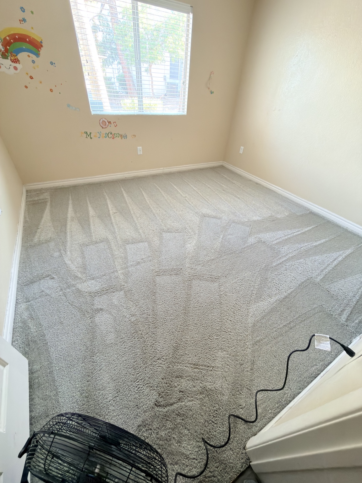 Freshly cleaned carpet in a Las Vegas home